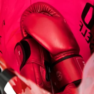 Fairtex Pattaya Boxing Gloves